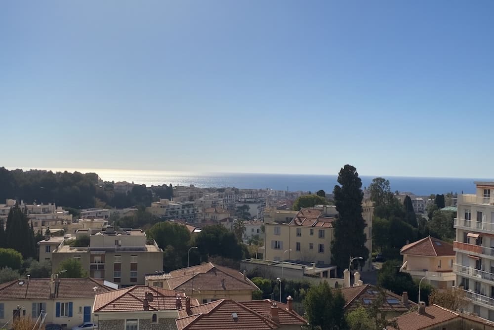 3 pièces en viager occupé