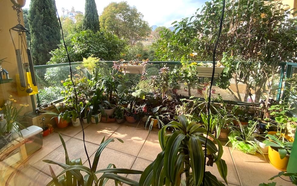 2 pièces viager occupé