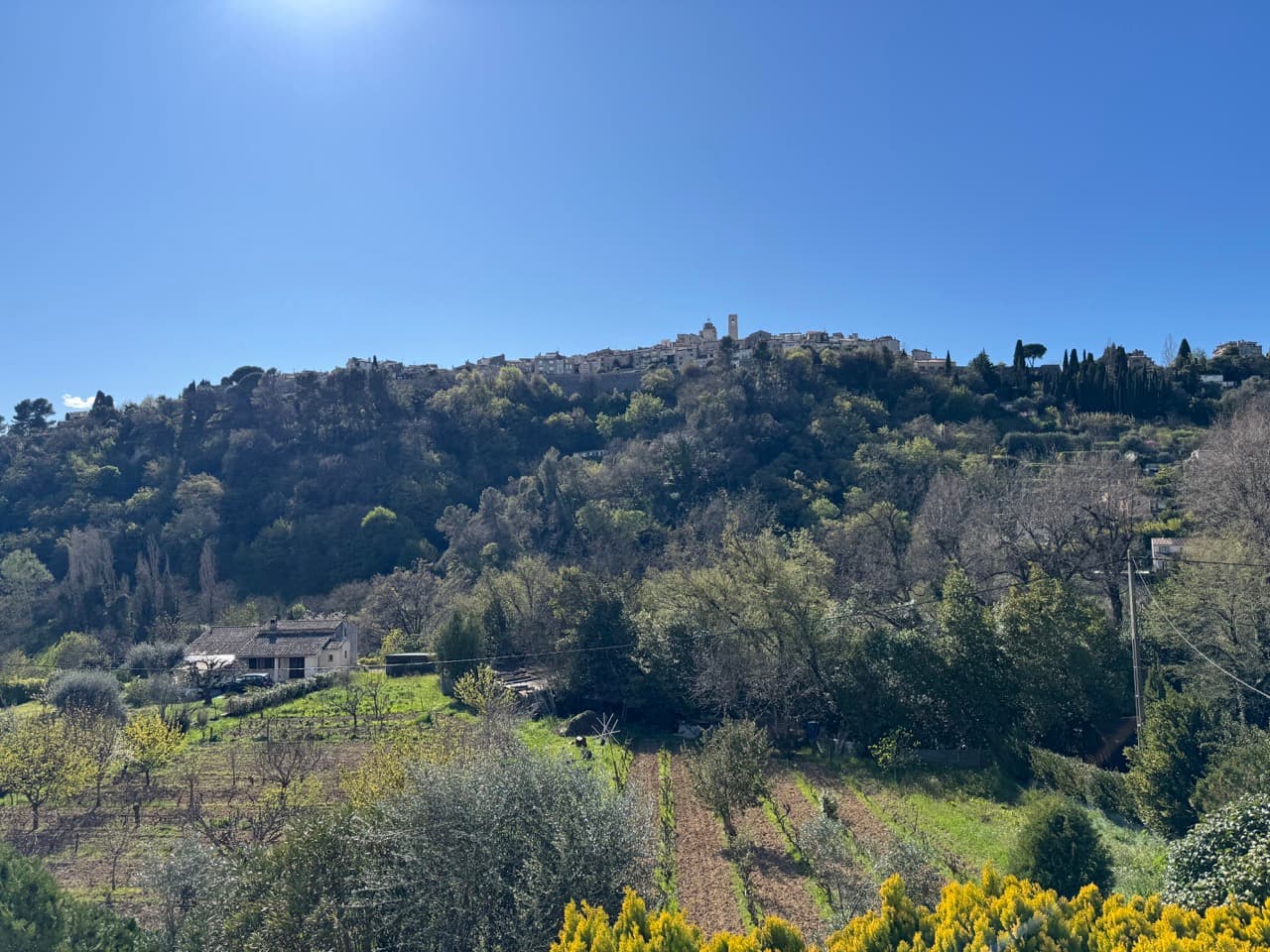 Propriété viager occupé